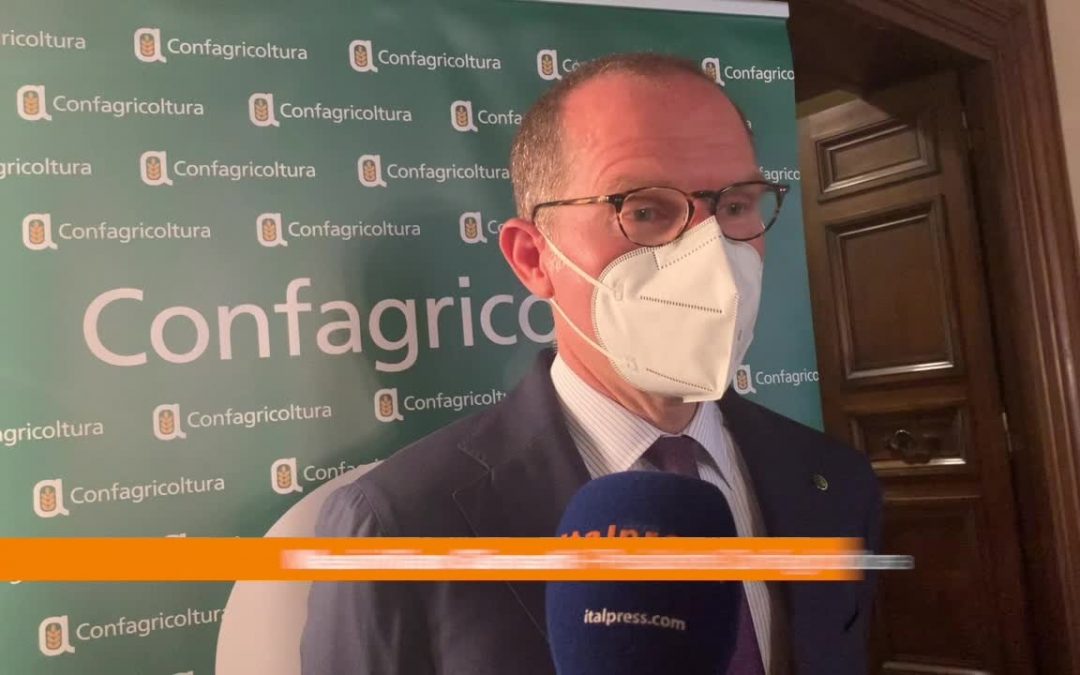 Giansanti: “Sfida agricoltura italiana è dimostrare le sue potenzialità”