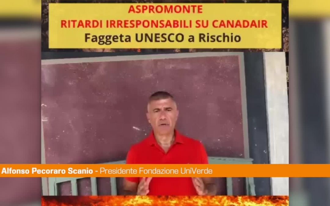 Incendi in Aspromonte, Pecoraro Scanio: “Canadair e Governo in ritardo”