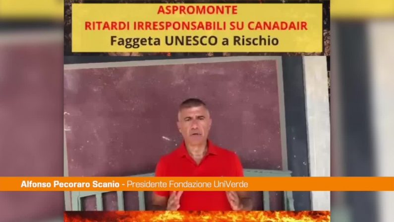 Incendi in Aspromonte, Pecoraro Scanio: “Canadair e Governo in ritardo”