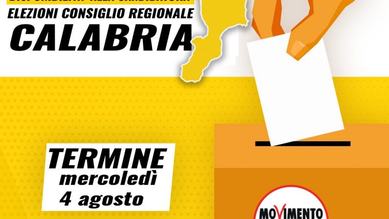 Elezioni regionali, i 5 Stelle cercano candidati sui social