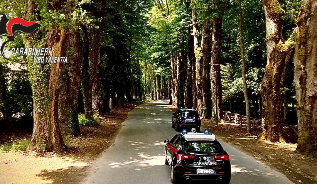 Sventato dai carabinieri un rave party nei boschi di Serra San Bruno: c’è anche un arresto