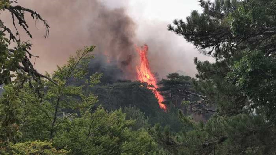 Un rogo in Aspromonte