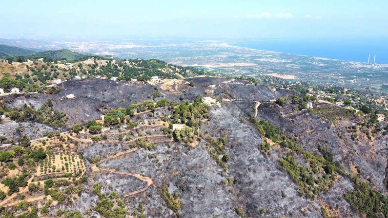 Incendi a Corigliano Rossano e San Basile, indaga la Procura di Castrovillari