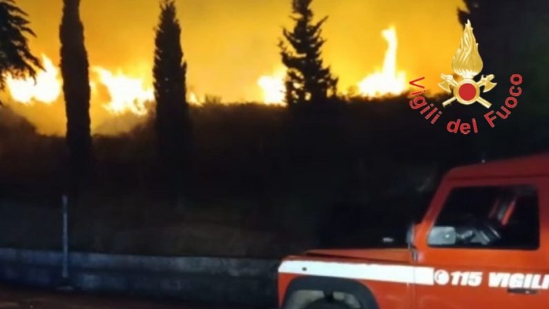 Incendi, oltre 170 interventi dei vigili del fuoco. Calabria Verde chiede rinforzi - VIDEO