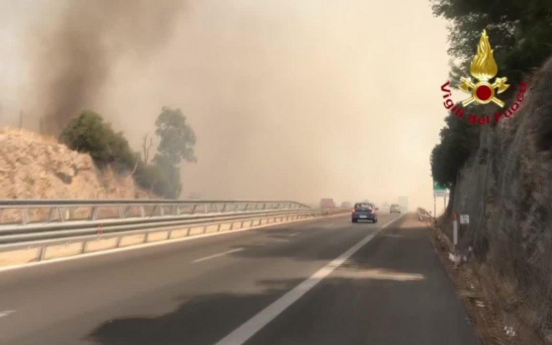 Incendi, brucia vegetazione nel palermitano