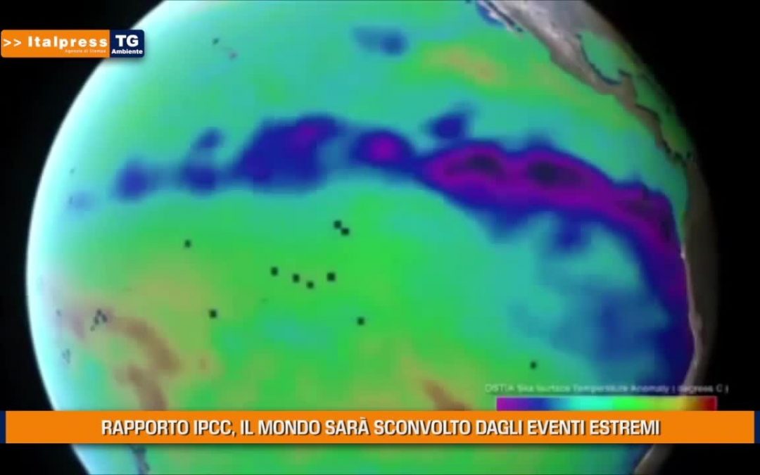 Tg Ambiente – 1/8/2021