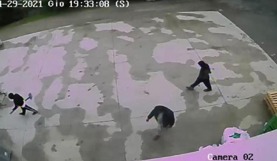 Un fermo immagine del video del 29 aprile relativo allo zio e due cugini di Saman che secondo le ipotesi investigative starebbero andando a scavare la fossa per nascondere il corpo della ragazza