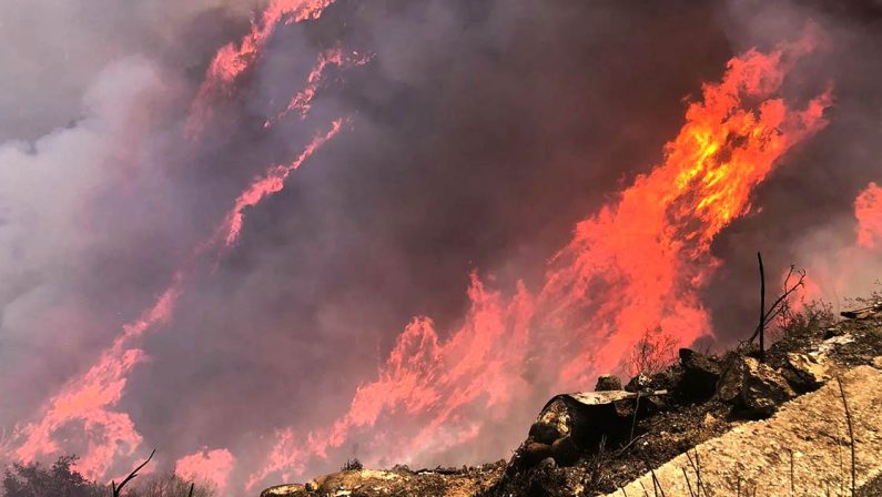 Allarme incendi, la denuncia della Uilpa Vigili del Fuoco: «Situazione disastrosa»