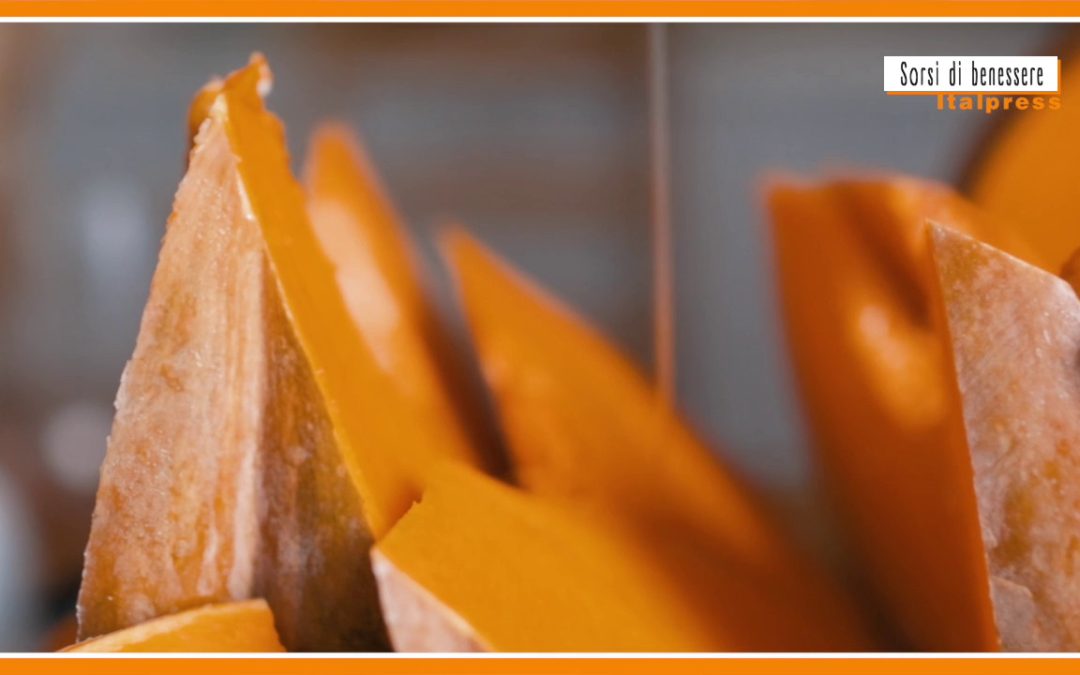 Sorsi di benessere – Crema di zucca con cialde di Grana Padano