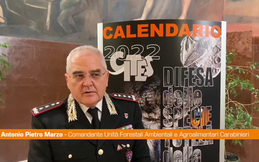 Carabinieri, le specie protette nel calendario Cites