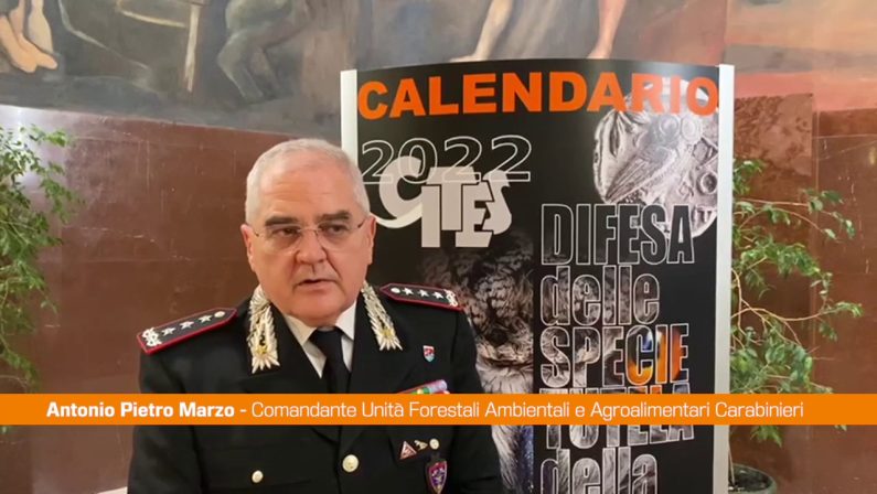 Carabinieri, le specie protette nel calendario Cites