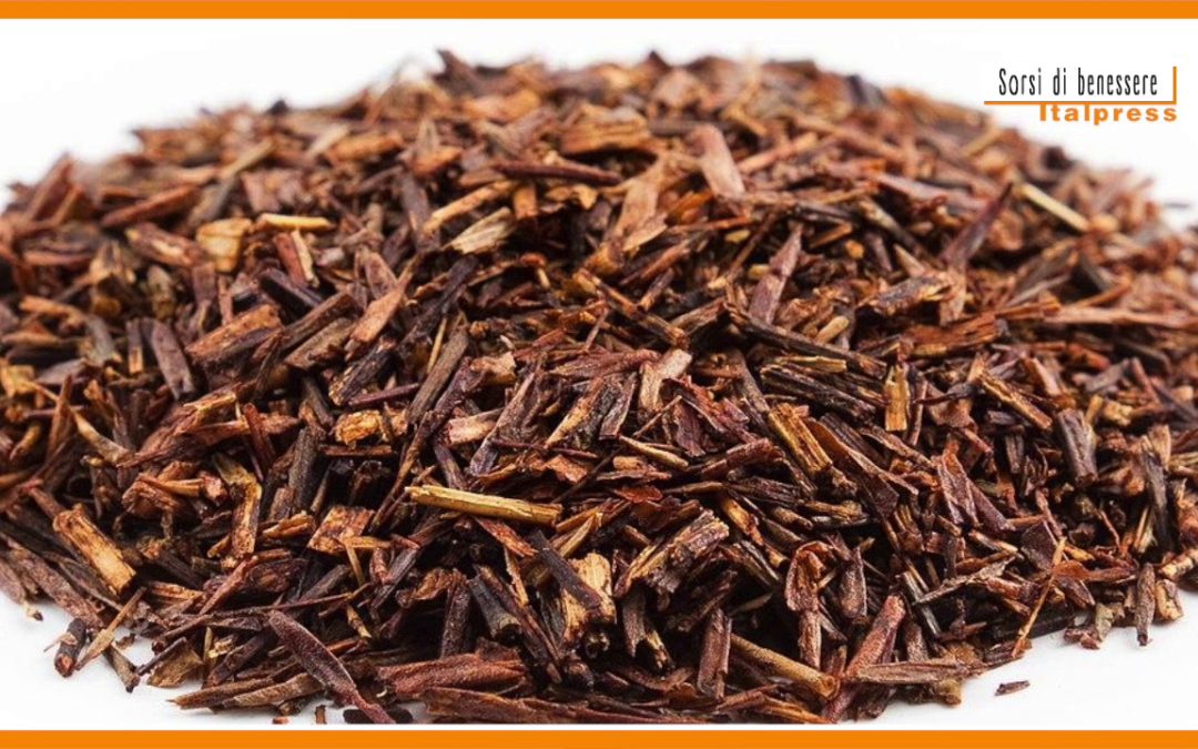 Sorsi di benessere – Come preparare il tè rooibos