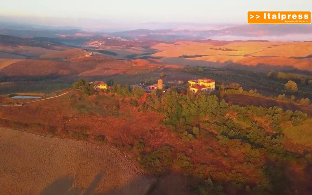 Bioeconomia, sul podio Toscana, Marche e Friuli