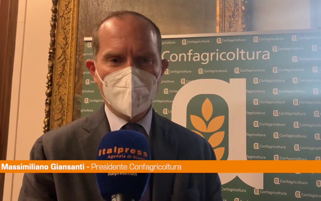 Agroalimentare, Giansanti “Valorizzare la filiera del grano duro”