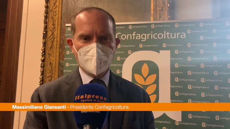 Agroalimentare, Giansanti “Valorizzare la filiera del grano duro”