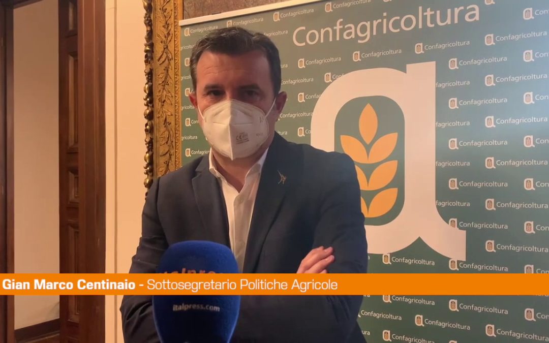 Agroalimentare, Centinaio “L’Italia punti sul grano duro di qualità”