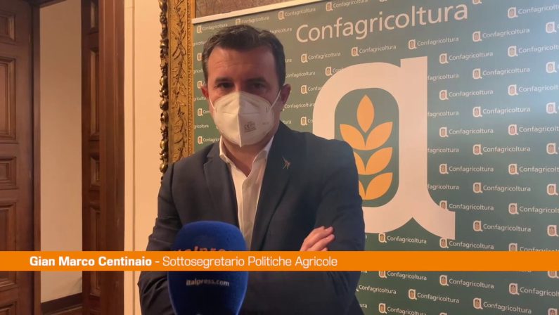 Agroalimentare, Centinaio “L’Italia punti sul grano duro di qualità”