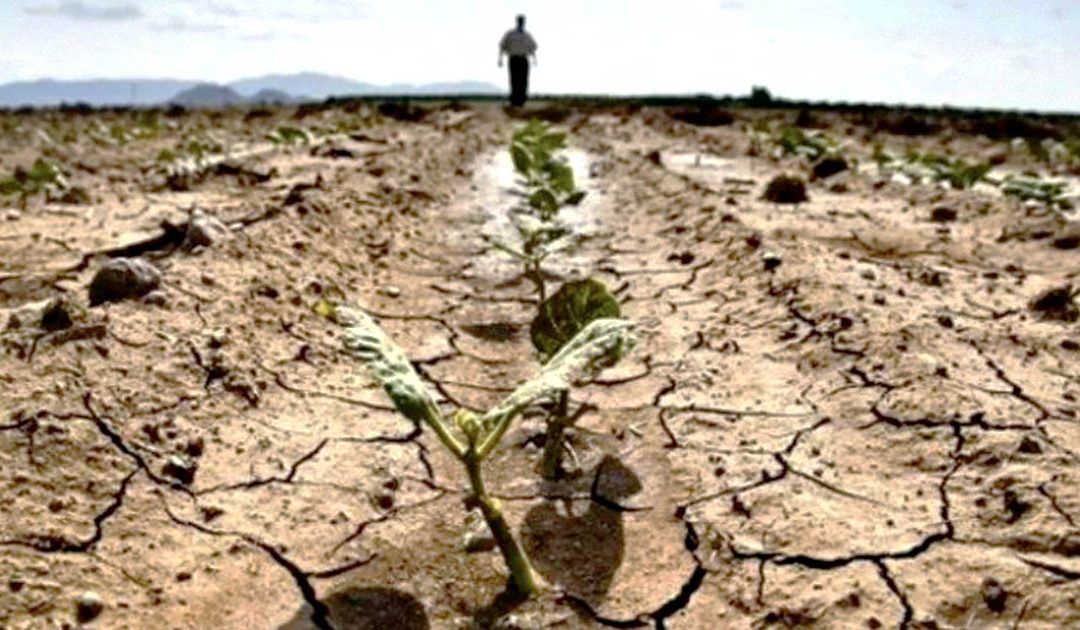 Allarme siccità, in Basilicata acqua sufficiente per venti giorni