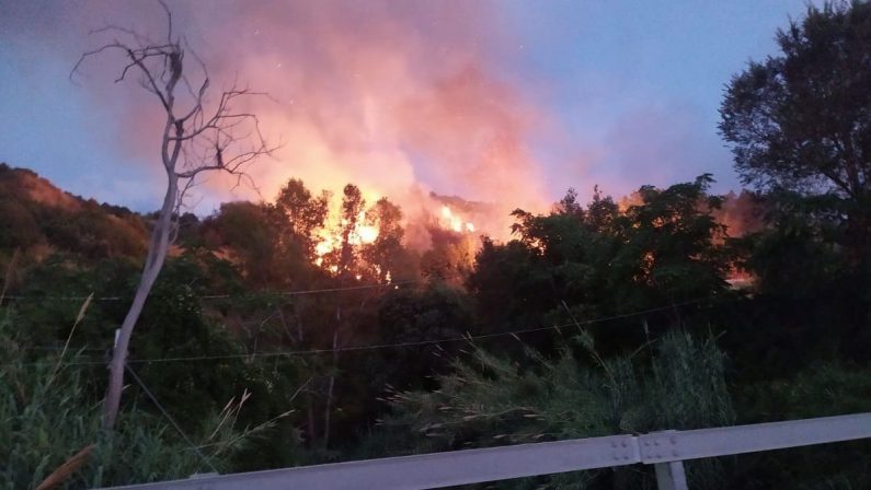 Vasto incendio nel Vibonese, le fiamme minacciano delle abitazioni