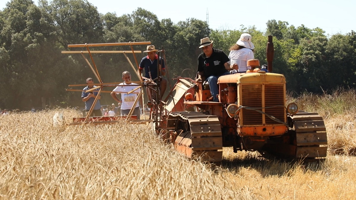 Tisana Rilassante - SAM - Società Agricola Moldoi