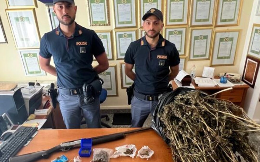 La marijuana ritrovata in una scuola di Longobardi