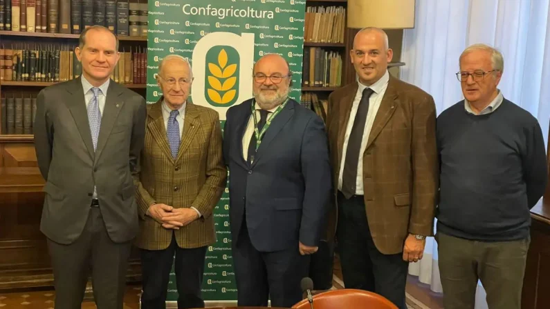 Olio Evo, accordo Confagricoltura-Unapol per slancio al comparto