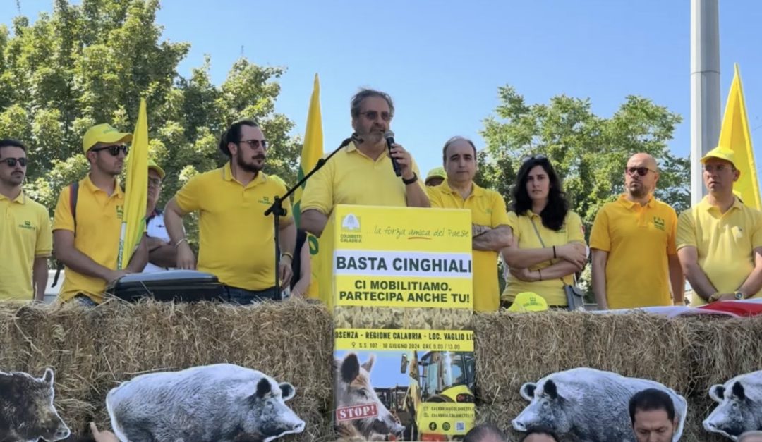 La manifestazione della Coldiretti oggi a Cosenza