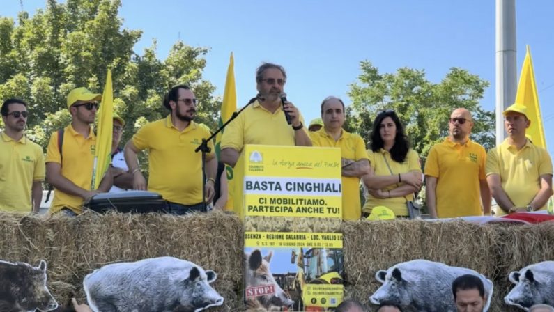 VIDEO - Troppi cinghiali, protesta della Coldiretti a Cosenza