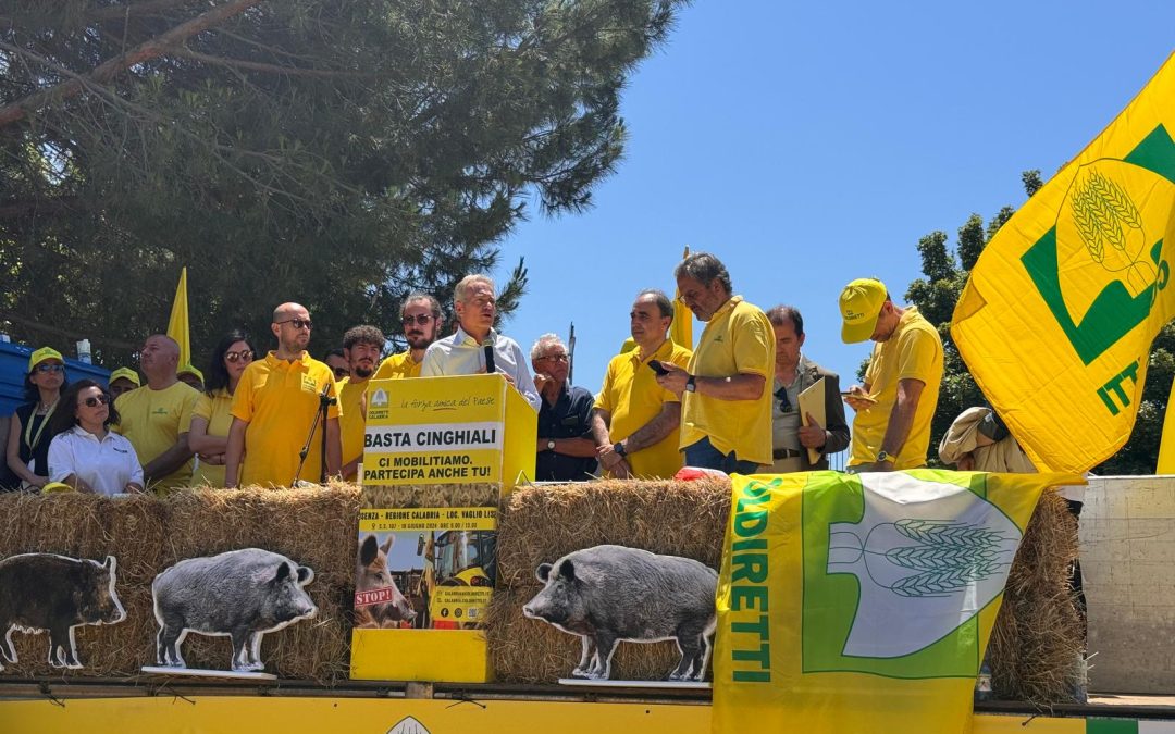 Emergenza cinghiali: il grido d’allarme a Vaglio Lise