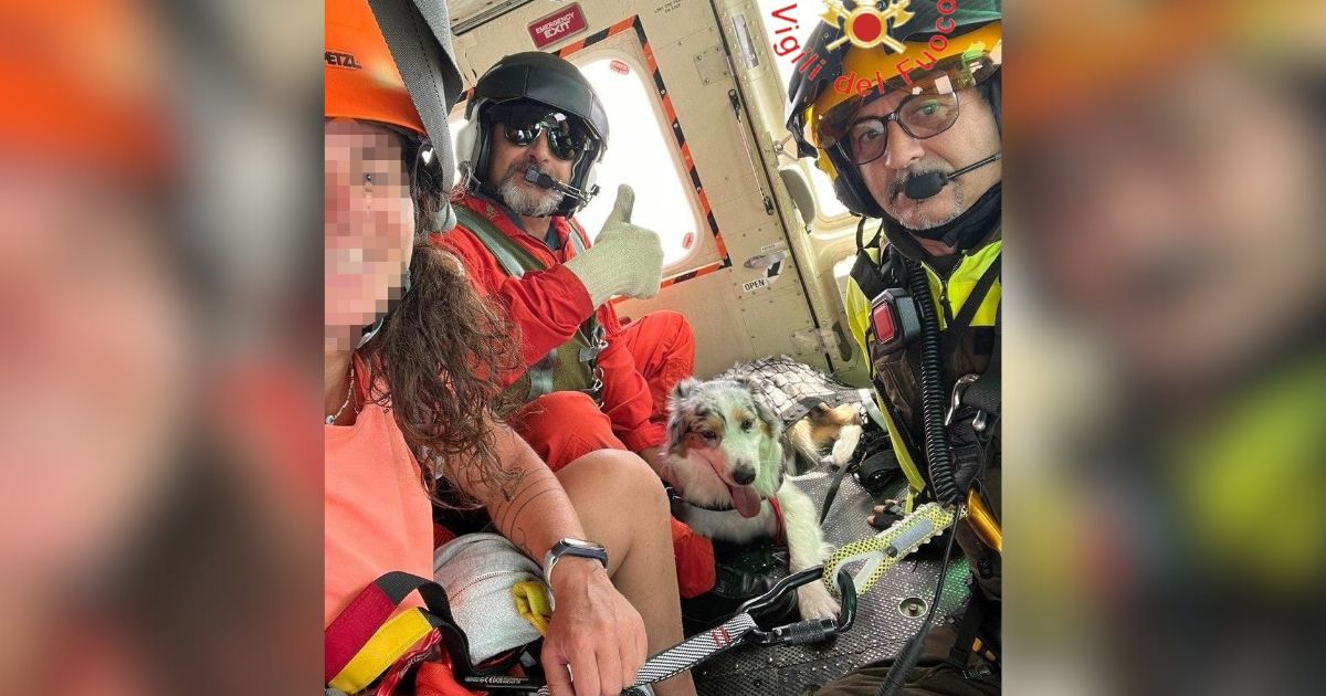 VIDEO – Salvataggio in elicottero per l’escursionista barese e il suo cane dispersi sul Montea a Belvedere