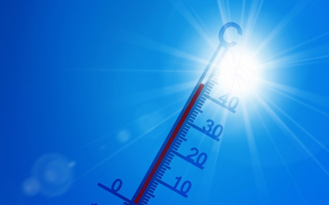 Temperature record in Basilicata: vietato lavorare nei campi nelle ore più calde