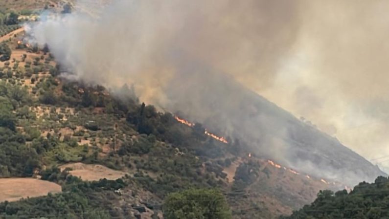 Incendio a Vieste: evacuata Baia dei Campi, 1200 persone in salvo