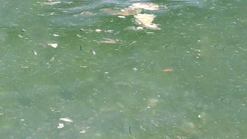Mare sporco a Gizzeria e Lamezia Terme, è allarme tra i cittadini