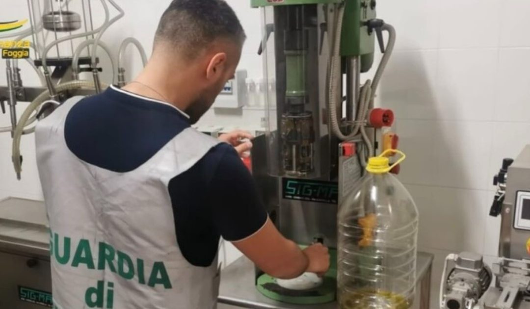 Puglia, sequestrati oltre 37mila litri di olio extravergine adulterato