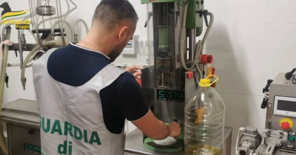 Puglia, sequestrati oltre 37mila litri di olio extravergine adulterato