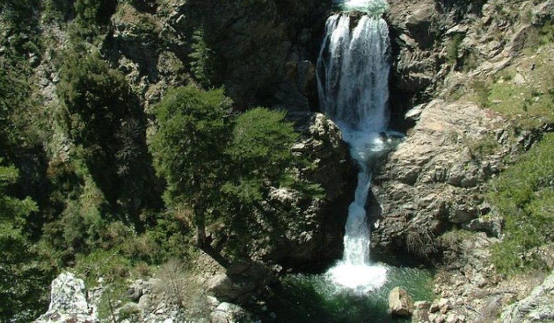 Reggio: abbandono di rifiuti al Parco dell’Aspromonte. 7 denunce