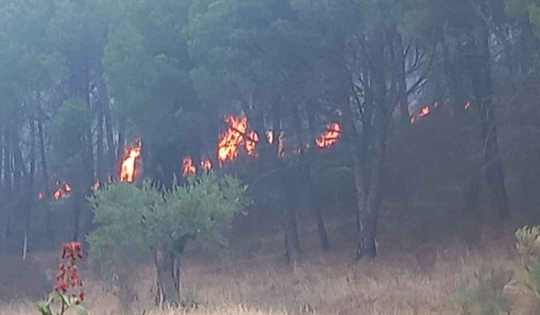 Castrovillari, vasto incendio assedia la città del Pollino