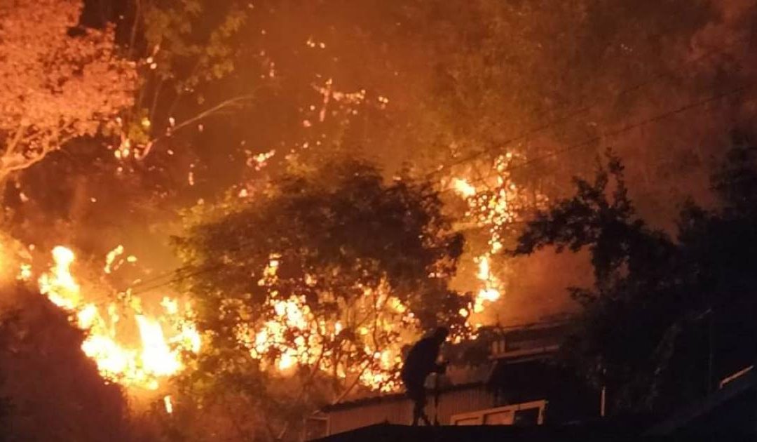 Incendio a Gimigliano, 50 famiglie evacuate