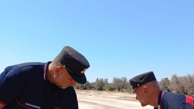 Torre Guaceto, lavori non autorizzati: denunce e sequestri