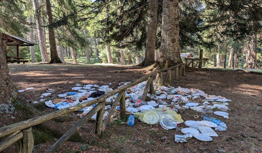 L'area picnic di Fossiata sommersa dai rifiuti