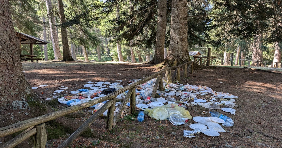 Inciviltà in Sila, l’area picnic di Fossiata sommersa dai rifiuti