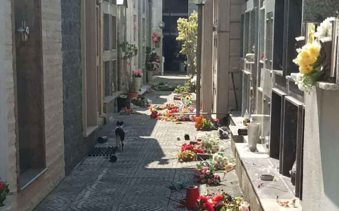 Il cimitero di Scalea dopo l'azione dei vandali