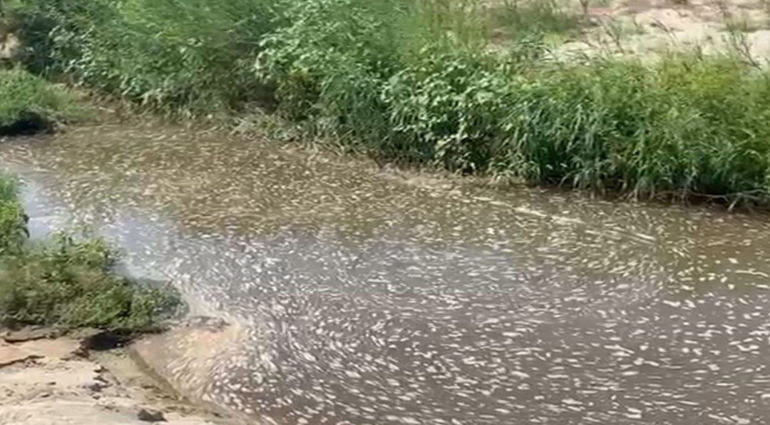 Come si presentava ieri il torrente Sant'Anna