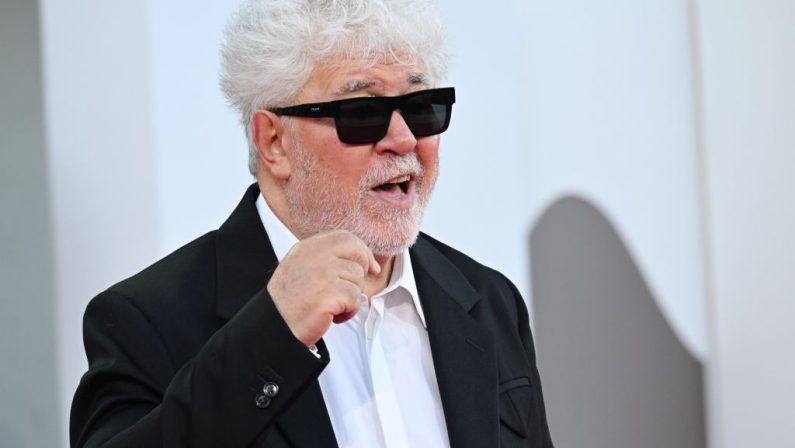 Venezia 81, Leone d'oro a Pedro Almodòvar, Argento a “Vermiglio”