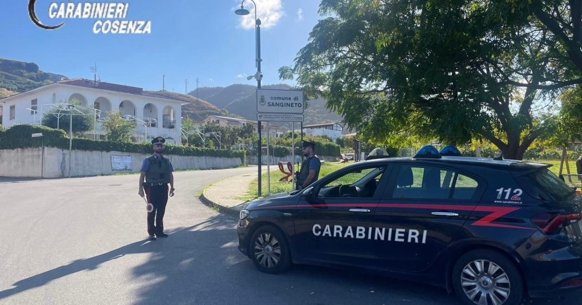 https://www.quotidianodelsud.it/wp-content/uploads/2024/10/carabinieri-sangineto-rapina-farmacia-arresto.jpg