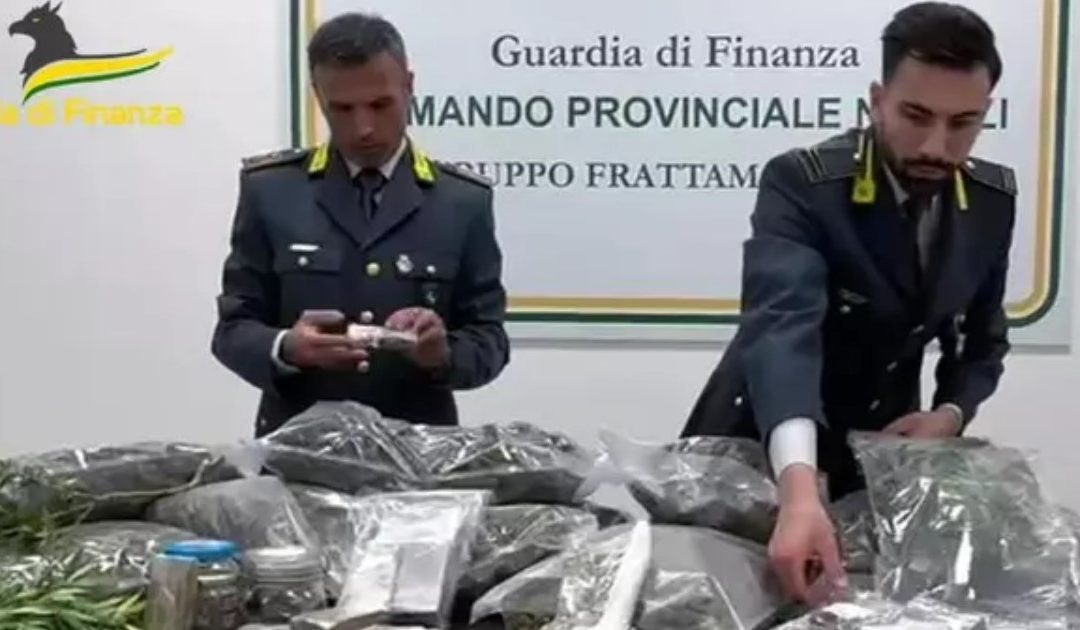 Marijuana diretta in Francia: sequestro da 550mila euro nel Napoletano