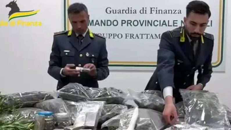 Marijuana diretta in Francia: sequestro da 550mila euro nel Napoletano