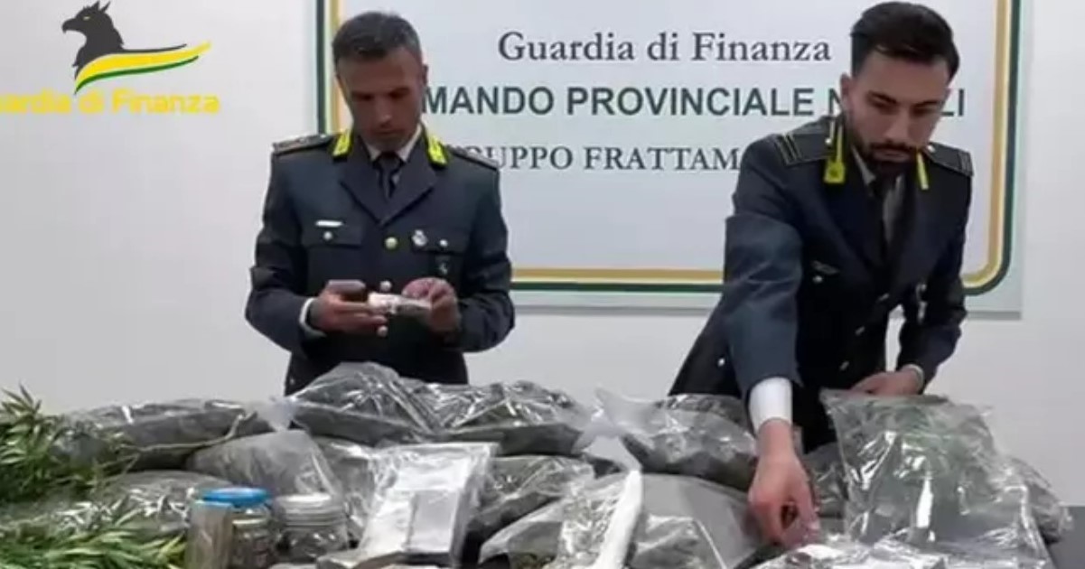 Marijuana diretta in Francia: sequestro da 550mila euro nel Napoletano