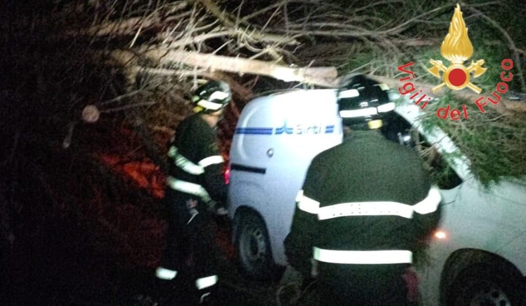 Maltempo a Lamezia, un albero si abbatte sul furgone della ditta dei lavori della Ss 208