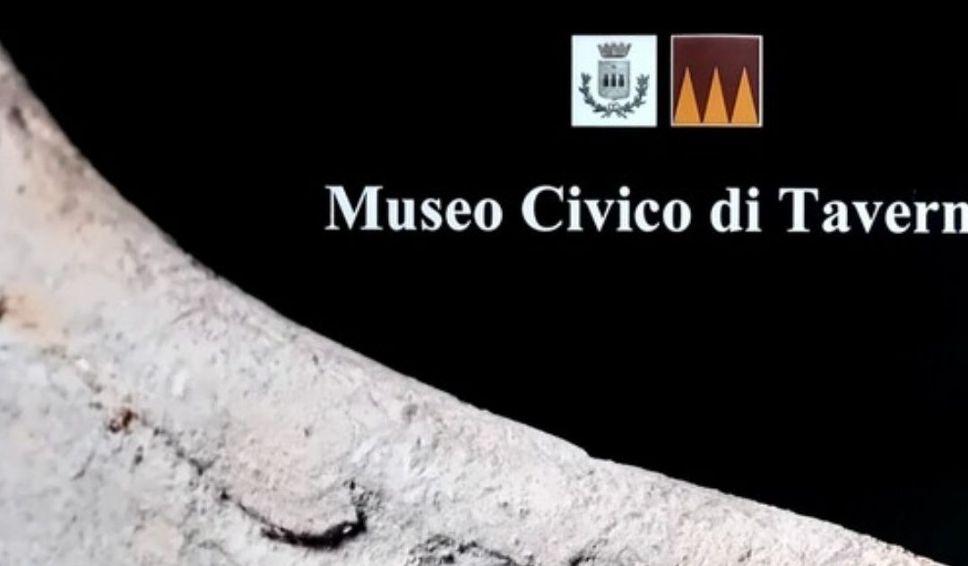 Museo civico di Taverna, in mostra Trischene dallo Ionio alla Sila